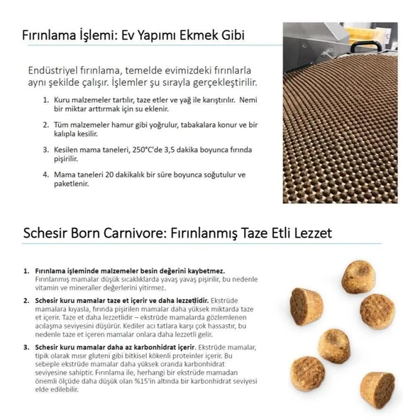 Schesir Born Carnivore Baby Tavuklu ve Yumurtalı Yavru Kedi Maması 1,25kg - Resim 3