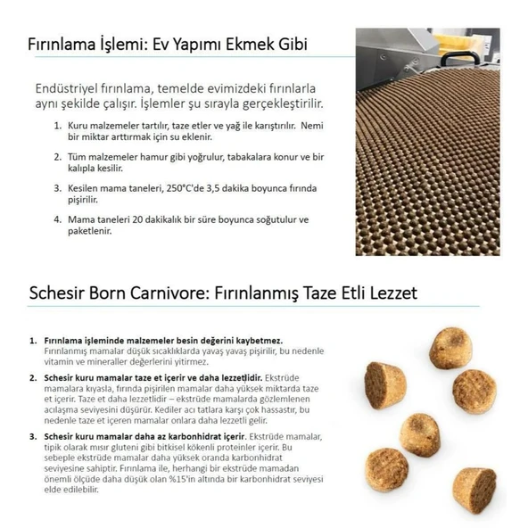 Schesir Born Carnivore Somonlu ve Ringa Balıklı Yetişkin Kedi Maması 255gr - Resim 3