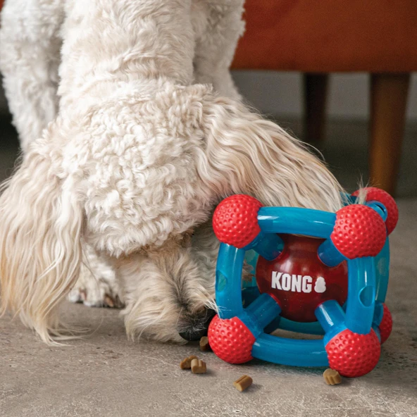 Kong Rewards Tinker Köpekler İçin Ödül Maması Dağıtma Oyuncağı M/L - 2