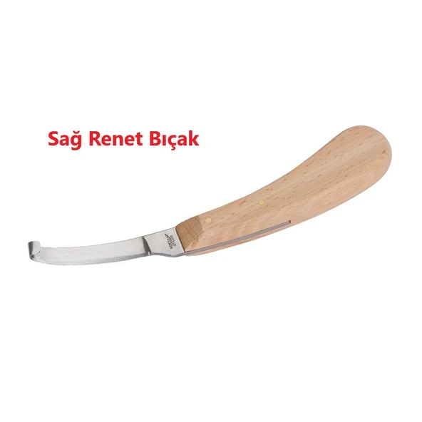 Aesculap Hayvan Tırnak Bakım Bıçağı-Renet Sağ