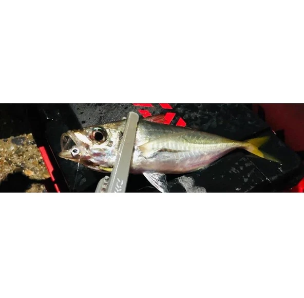 Daiwa Gekkabijin Ajing jig Head - Resim 3