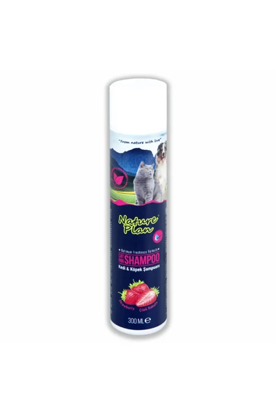 Şampuan Çilek Kokulu 300 ml