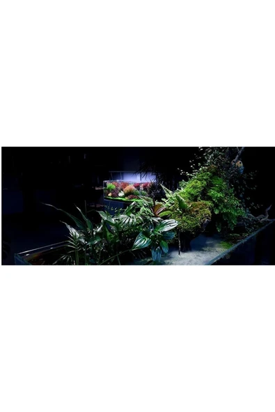 Creaqua E Line 40-55cm - 3