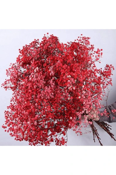 Kuru Çiçek Doğal KIRMIZI Cipso  1. Kalite Şoklanmış Bozulmaz ürün görseli