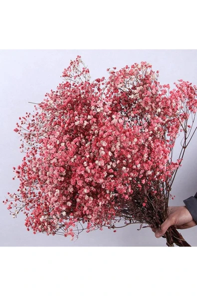 Kuru Çiçek Doğal KIRMIZI Cipso  1. Kalite Şoklanmış Bozulmaz - Resim 2