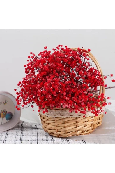 Kuru Çiçek Doğal KIRMIZI Cipso  1. Kalite Şoklanmış Bozulmaz - Resim 3