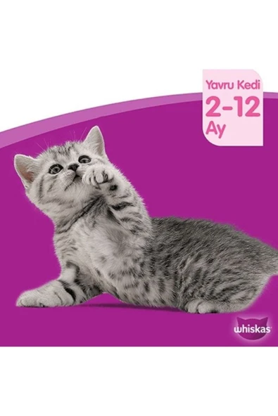 Junior Pure Delight Yavru Yumuşacık Kümes Hayvanları 4x85 Gr(13 ADET) - 2