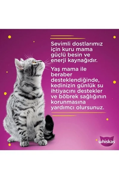 Junior Pure Delight Yavru Yumuşacık Kümes Hayvanları 4x85 Gr(13 ADET) - 3