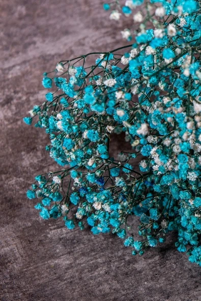 Şoklanmış Cipso Demeti Mavi - Resim 2