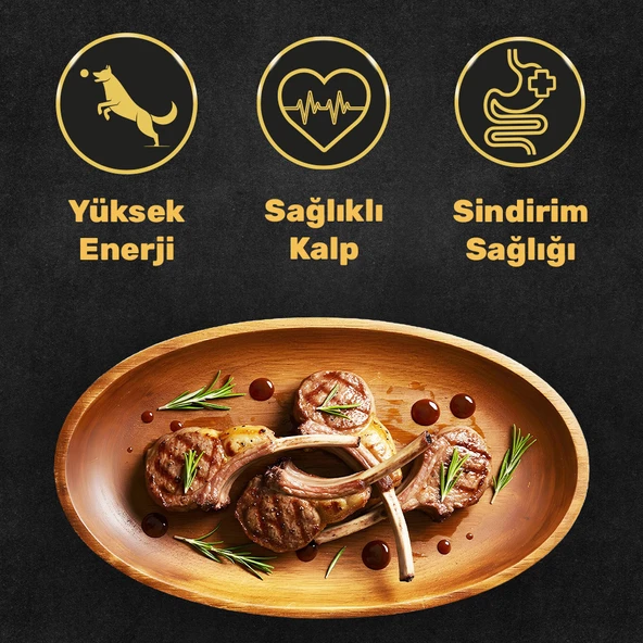 North Atlantic Health Kuzu Etli Yetişkin Köpek Maması 15KG - Mutamin Fabrikadan Orjinal - 2