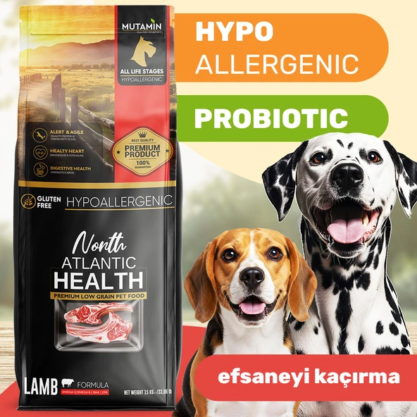 North Atlantic Health Kuzu Etli Yetişkin Köpek Maması 15KG - Mutamin Fabrikadan Orjinal