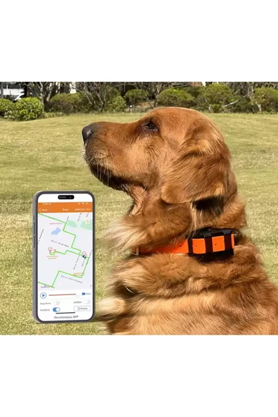 Tkstar 4G Yeni Köpek Kedi Pet Evcil Hayvan Gps Takip Sistemi İzleme Bulma Cihazı Av Köpeği Takip - 5