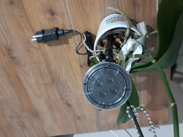 Peri Led Işık 5 Metre Beyaz  Dekor Lambası 50 Ledli - 5