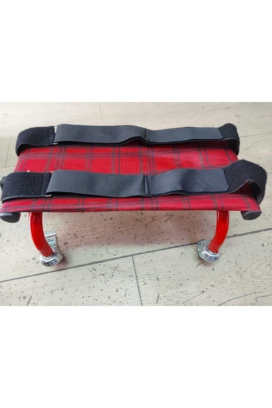 sema karakoç Emekleme Sehbası Yürüme Yardımcısı - Resim 4