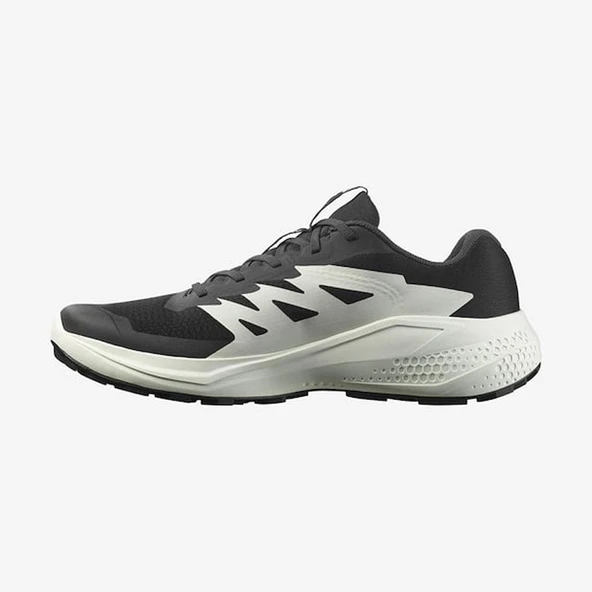 SALOMON ERKEK KOŞU/FITNESS AYAKKABI ALPHAGLIDE L47801000 - 2