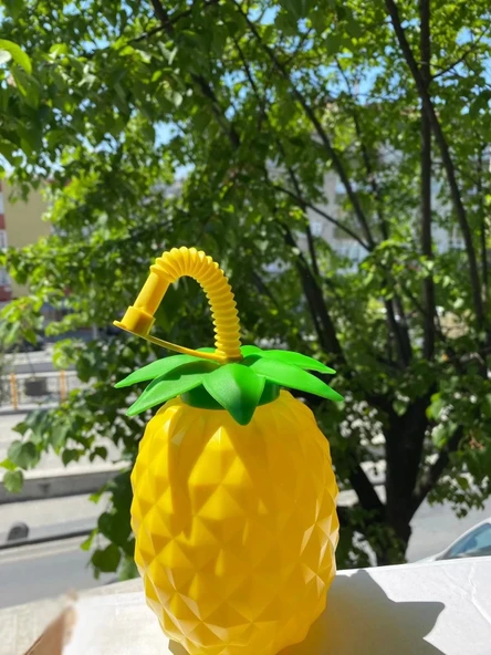 Ananas Pipetli Suluk - 2