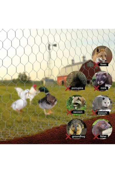 FERMO Kümes Teli 120 Cm Eninde 2m Uzunluğunda-tavuk Teli Çit Teli-kümes Teli-kafes Teli Bahçe - 3