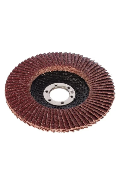 UGR Metal Ahşap Flap Disk Zımpara 115x22 Mm 10 Adet 60 Kum - 3