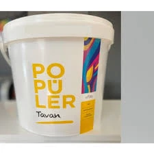 Polisan Popüler Tavan Boyası Mat Beyaz 17.5 Kg ürün görseli 1