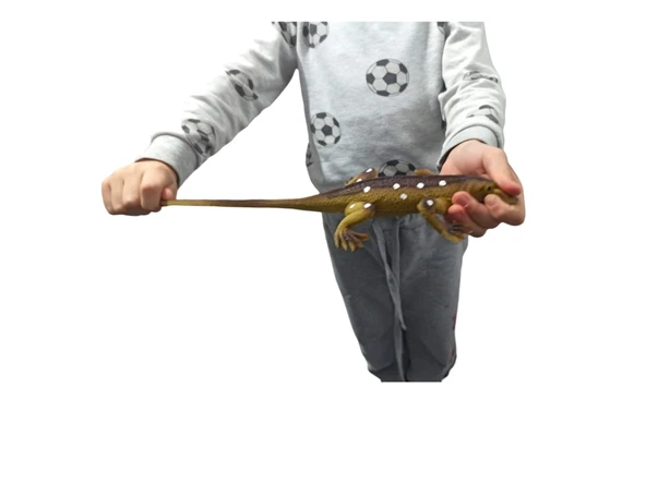 Oyuncak Esnek Kertenkele: Renkli ve Eğlenceli Oyunların Yeni Yıldızı! - 4