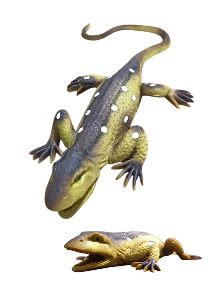 Oyuncak Esnek Kertenkele: Renkli ve Eğlenceli Oyunların Yeni Yıldızı! - 2