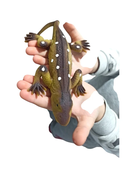 Oyuncak Esnek Kertenkele: Renkli ve Eğlenceli Oyunların Yeni Yıldızı! - 3