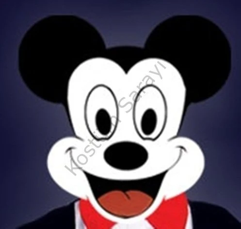 Mickey Mouse Başlığı Çocuk - 3