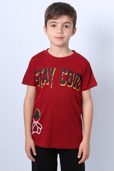 ERKEK ÇOCUK TİŞÖRT STAY COOL BASKILI BİSİKLET YAKA F18 - 4