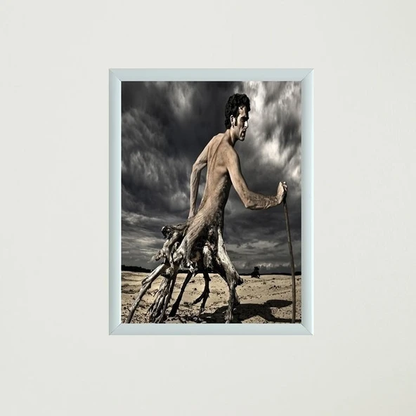 Çerçeveli Poster Tablo T1323 - 5