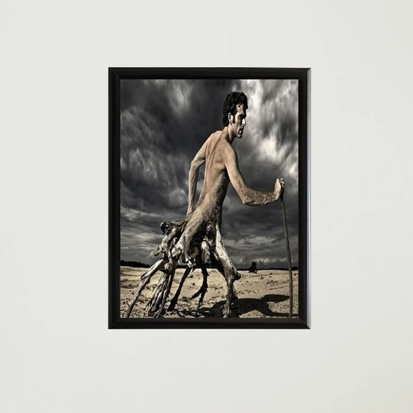 Çerçeveli Poster Tablo T1323 - 4