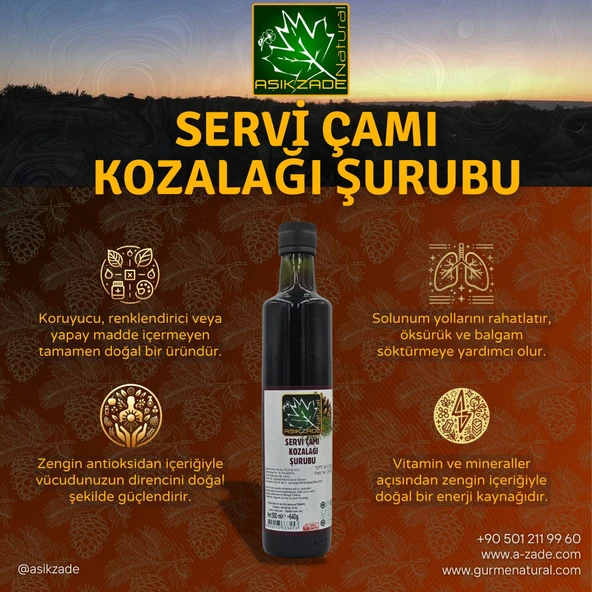 Aşıkzade Çam Kozalağı Şurubu 500ml - Resim 2