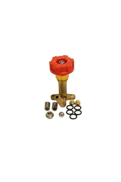 çin model BASINÇ VALFİ KOMPLE REGÜLATÖR 3WZ3 TF900 25LT ürün görseli