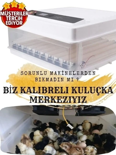 Kaz Kuluçka | 130 Yumurtalık Tam Otomatik Kuluçka Makinesi, 5 Programlı