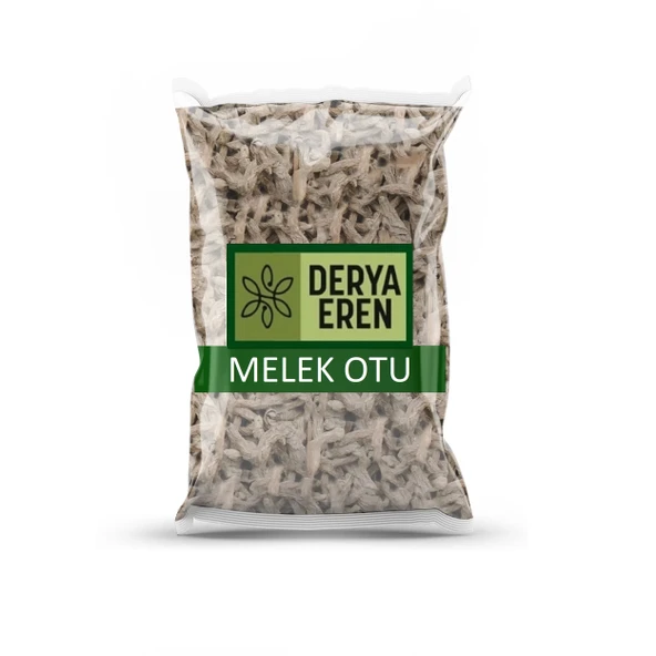 Melek Otu 1 kg (Angelica archangelica)