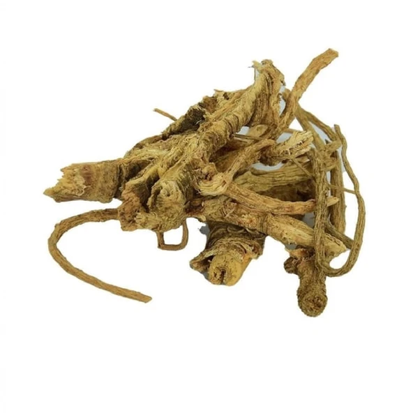 Melek Otu 250 Gr (Angelica archangelica), Derya Eren - 2