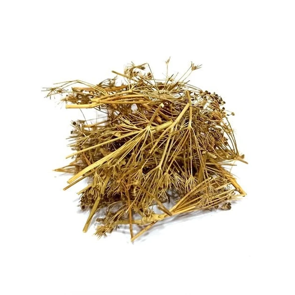 Melek Otu 250 Gr (Angelica archangelica), Derya Eren - 3