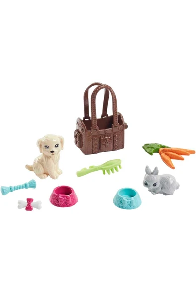 BARBİE ® Doll & Pets - FPR48 - 2