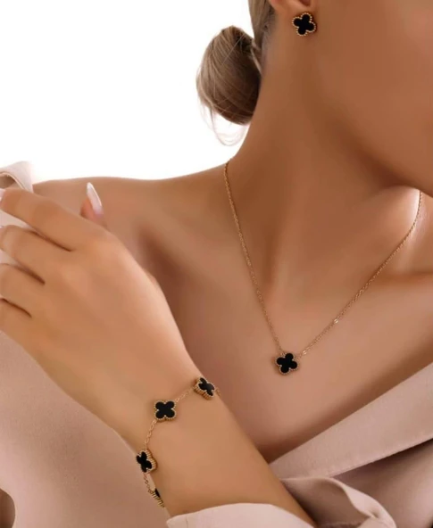 Sones Çelik Takı Setleri | Sns500261 ürün görseli