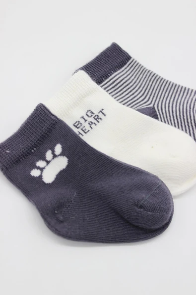 Bistyle 3'Lü Penye Soket Çorap 10110 Antrasit - 4