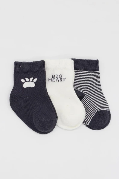 Bistyle 3'Lü Penye Soket Çorap 10110 Antrasit - 2