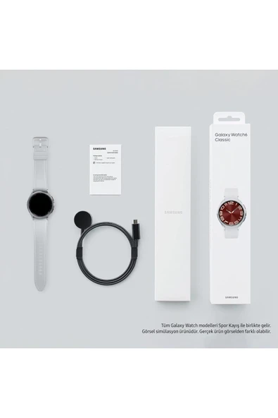 Samsung Galaxy Watch 6 Classic 47mm Gümüş Akıllı Saat - 8