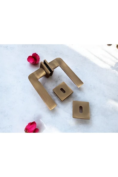 Cloud Gate Mat Antik Sarı Kare Rozetli Oda Kapı Kolu 1 Takım ürün görseli