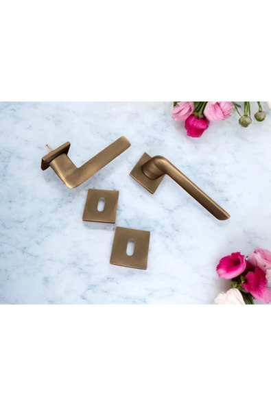 Cloud Gate Mat Antik Sarı Kare Rozetli Oda Kapı Kolu 1 Takım - Resim 6