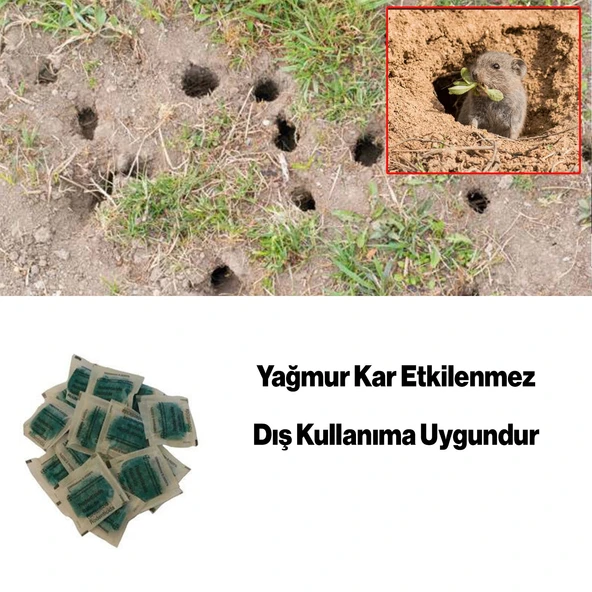 Haşere Böcek Fare Sıçan Zehiri Katı Pasta 100 gr Hazır Zehirli Katı Yiyecek 1 Adet - 2