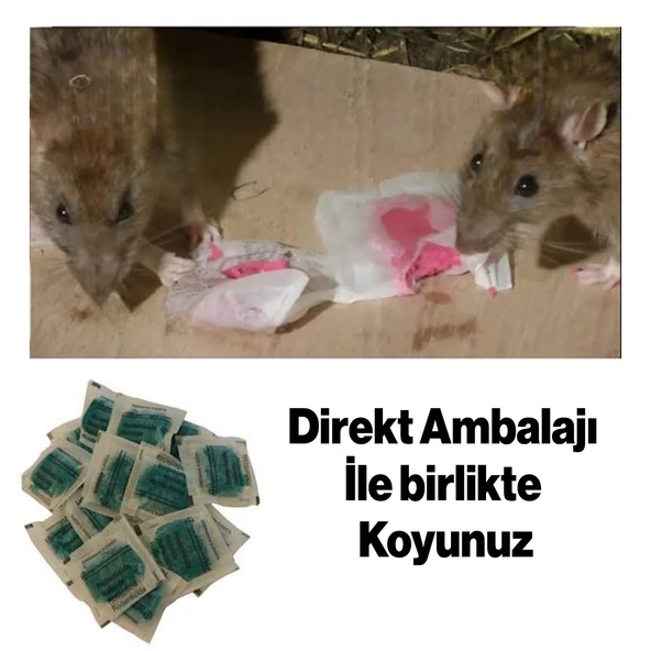 Haşere Böcek Fare Sıçan Zehiri Katı Pasta 100 gr Hazır Zehirli Katı Yiyecek 1 Adet - 3