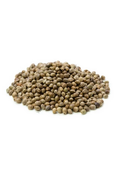 KENDİR TOHUMU 500 Gr. Çetene Çedene Cedene 0,5 Kg. - 2