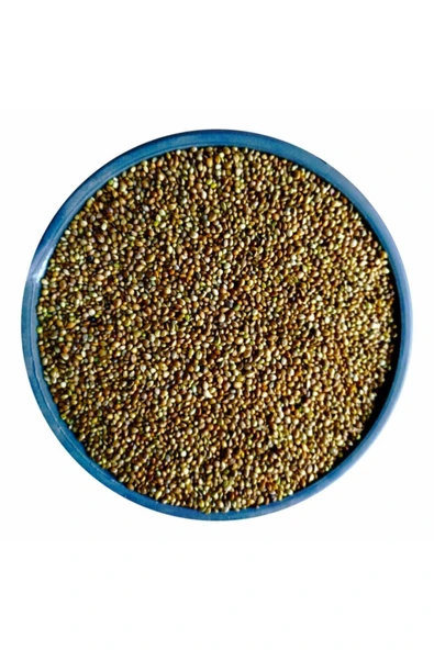 Çedene Tohumu Kendir Kuş Yemi - 500 Gr. Çetene - 2
