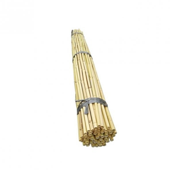 Fidan Destek Çubuğu Kamış(Ucu sivriltilmiş) 80-90cm BOY 100 ADET