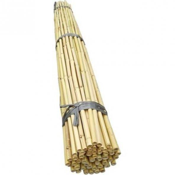 Fidan Destek Çubuğu Kamış(Ucu sivriltilmiş) 180-190cm BOY 10 ADET ürün görseli