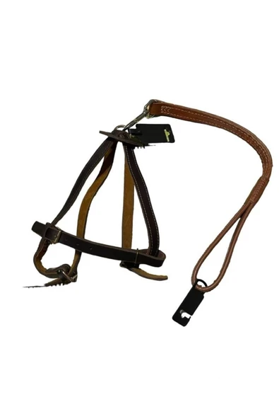 Köpek Gezdirme Göğüs Tasması Hakiki Deri Köpek Gezdirme Kayışı Orta Ve Büyük Irk Için Uygundur ürün görseli